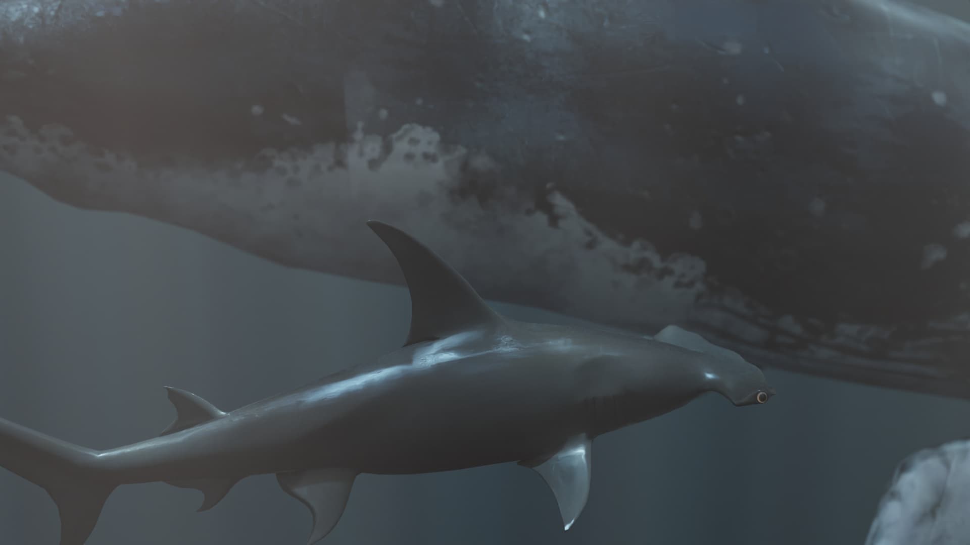 Entrelazos Conexión Océanos — render 3