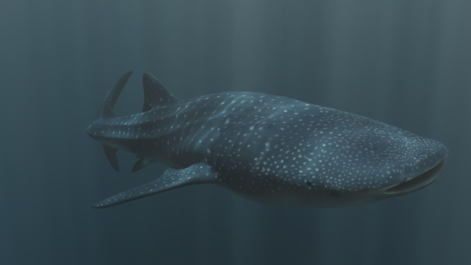 Entrelazos Conexión Océanos — render 4